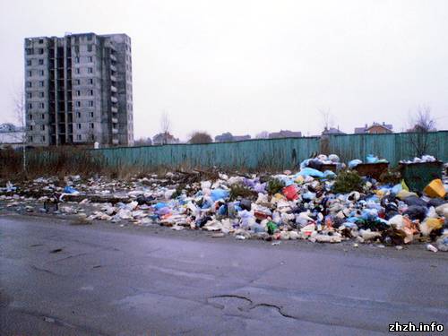 Стихійне сміттєзвалище на Гормолзаводі у Житомирі