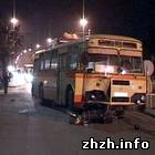 В Бердичеве автобус раздавил мопед. Водитель без сознания. ФОТО