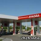 Экономика: Житомирские автозаправки Лукойл, Shell и WOG оштрафованы на 42 тыс. грн.