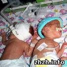 Общество: В Житомире третью неделю врачи борются за жизнь новорожденных девочек