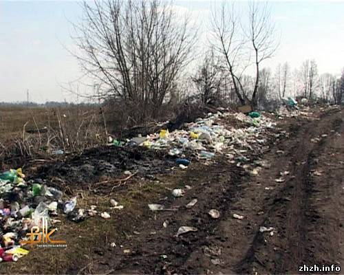 Жители Бердичев массово выбрасывают мусор на городское кладбище. ФОТО