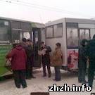 Происшествия: В центре Житомира столкнулись троллейбус и маршрутка. Никто не пострадал