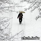Наука: Прогноз погоды в Житомире: на Масленицу мокрый снег