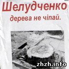 Общество: Националисты требуют от Шелудченко не трогать деревья в Житомире. ФОТО