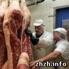 Криминал: Житомирские чиновники украли из госрезерва 120 тонн мяса