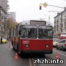 Происшествия: В Житомире троллейбус наехал на 82-летнюю старушку. ФОТО