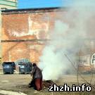 Город: Житомир принял на вооружение старый забытый метод утилизации мусора. ФОТО