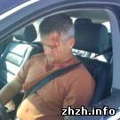 Общество: Житомирские ГАИшники собираются приучить водителей к ремням безопасности