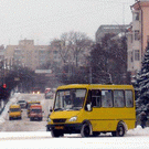 Город: На четырех маршрутах Житомира определены новые перевозчики